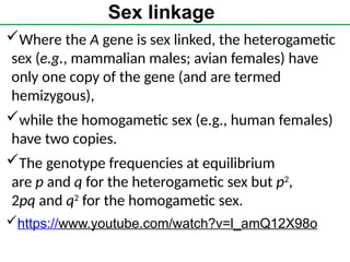 Sex linkage
Where the A gene is sex linked, the heterogametic
sex (e.g., mammalian males; avian females) have
only one copy of the gene (and are termed
hemizygous),
while the homogametic sex (e.g., human females)
have two copies.
The genotype frequencies at equilibrium
are p and q for the heterogametic sex but p2
,
2pq and q2
for the homogametic sex.
https://www.youtube.com/watch?v=l_amQ12X98o
 