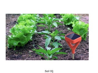 Soil IQ  