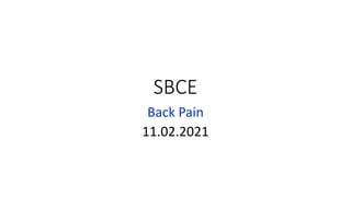 SBCE
Back Pain
11.02.2021
 