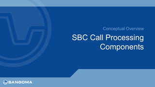 Conceptual Overview 
SBC Call Processing 
Components 
 