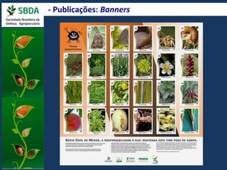 - Publicações: Banners 
 