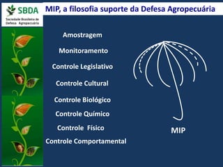 MIP, a filosofia suporte da Defesa Agropecuária 
MIP 
Amostragem 
Monitoramento 
Controle Legislativo 
Controle Cultural 
Controle Biológico 
Controle Químico 
Controle Físico 
Controle Comportamental 
 