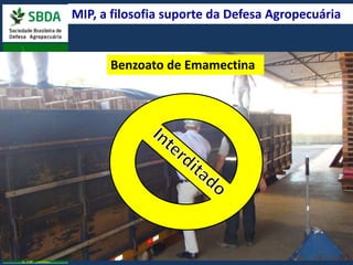 MIP, a filosofia suporte da Defesa Agropecuária 
MIP 
CoBnetrnozleo Qatuoímdieco Emamectina 
 