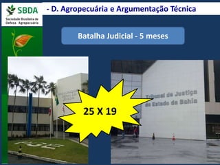 - D. Agropecuária e Argumentação Técnica 
Batalha Judicial - 5 meses 
25 X 19 
 