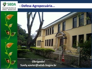 - Defesa Agropecuária...HHoossppeeddeeirioro: :M Maannggaa 
Obrigada! 
Suely.xavier@adab.bagov.br 
