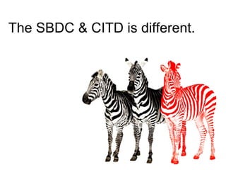 The SBDC & CITD is different.