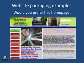 Website packaging examples
Would you prefer this homepage ..
 