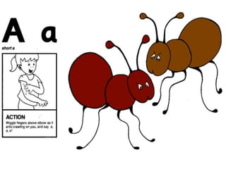 Flashcards and posters A a