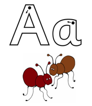 Flashcards and posters A a