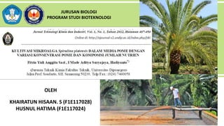 OLEH
KHAIRATUN HISAAN. S (F1E117028)
HUSNUL HATIMA (F1E117024)
JURUSAN BIOLOGI
PROGRAM STUDI BIOTEKNOLOGI
 