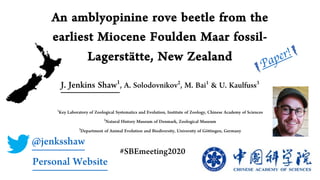 An amblyopinine rove beetle from the
earliest Miocene Foulden Maar fossil-
Lagerstätte, New Zealand
J. Jenkins Shaw1, A. Solodovnikov2, M. Bai1 & U. Kaulfuss3
1Key Laboratory of Zoological Systematics and Evolution, Institute of Zoology, Chinese Academy of Sciences
2Natural History Museum of Denmark, Zoological Museum
3Department of Animal Evolution and Biodiversity, University of Göttingen, Germany
@jenksshaw
Personal Website
#SBEmeeting2020
Paper!
 
