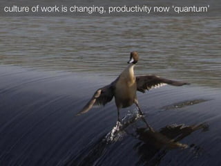 culture of work is changing, productivity now ‘quantum’
 