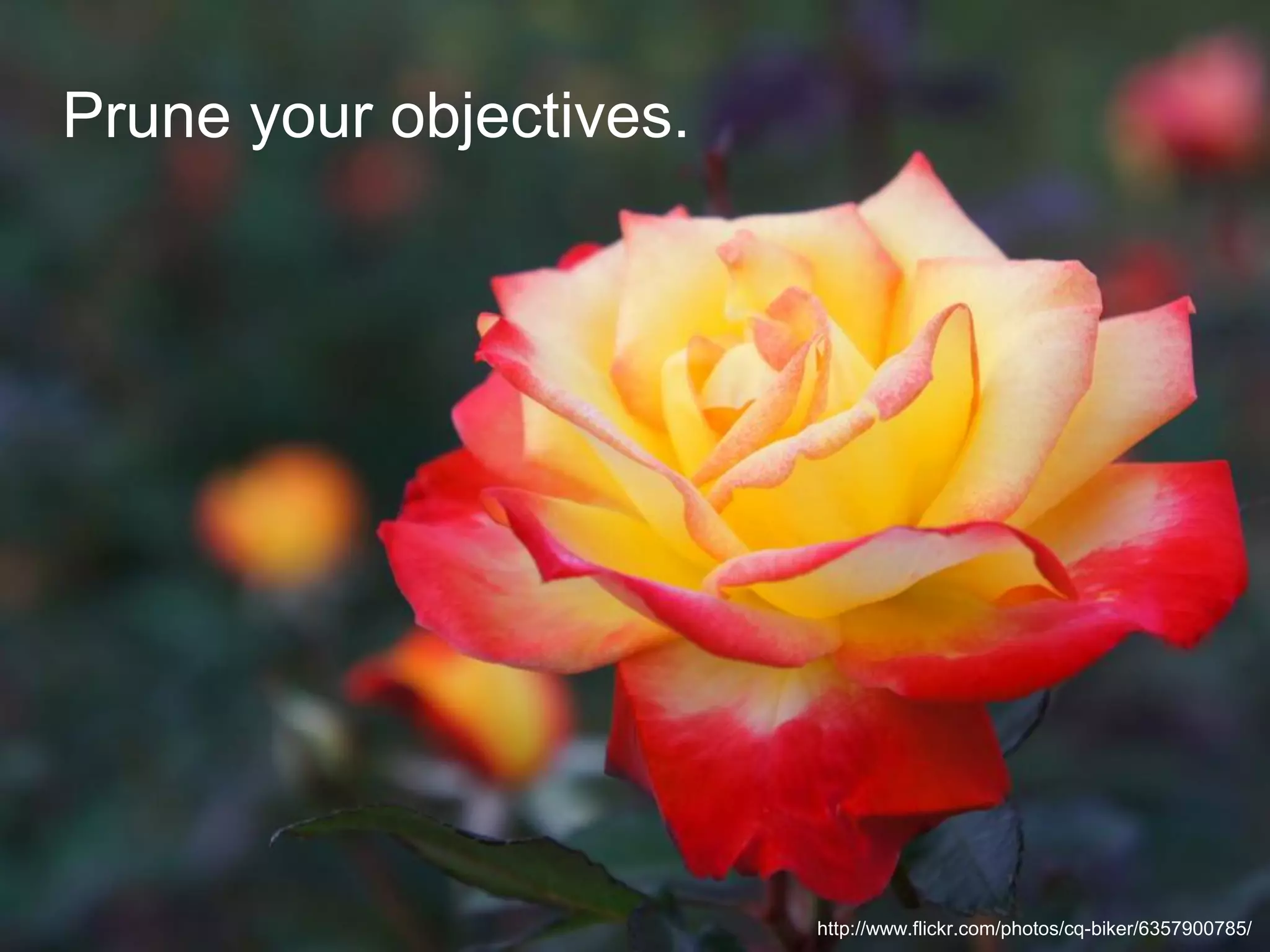 Prune your objectives.




                         http://www.flickr.com/photos/cq-biker/6357900785/
 