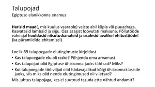 Talupojad 
Egiptuse elanikkonna enamus 
Harisid maad(, mis kuulus vaaraole) veiste abil kõpla või puuadraga. 
Kasvatasid lambaid ja sigu. Osa saagist loovutati maksuna. Põllutööde 
vaheajal hooldasid niisutuskanaleid ja osalesid avalikel ehitustöödel 
(ka püramiidide ehitamisel) 
Loe lk 69 talupoegade elutingimuste kirjeldust 
• Kas talupoegade elu oli raske? Põhjenda oma arvamust 
• Kas talupojad olid Egiptuse ühiskonna jaoks tähtsad? Miks? 
• Kui talupoegade töö viljad olid hädavajalikud kõigi ühiskonnaklasside 
jaoks, siis miks olid nende elutingimused nii viletsad? 
Mis juhtus talupojaga, kes ei suutnud tasuda ette nähtud andamit? 
 