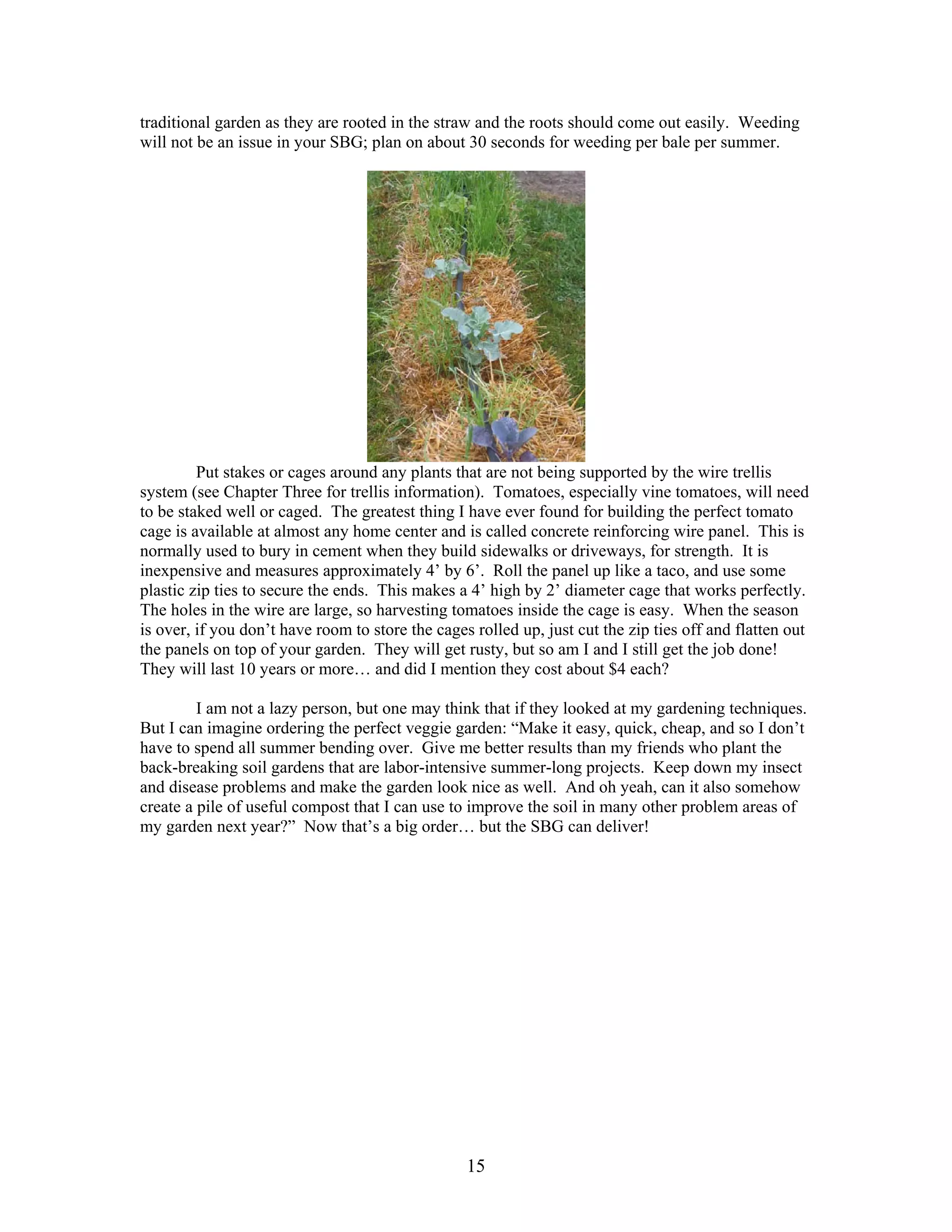 15
traditional garden as they are rooted in the straw and the roots should come out easily. Weeding
will not be an issue in your SBG; plan on about 30 seconds for weeding per bale per summer.
Put stakes or cages around any plants that are not being supported by the wire trellis
system (see Chapter Three for trellis information). Tomatoes, especially vine tomatoes, will need
to be staked well or caged. The greatest thing I have ever found for building the perfect tomato
cage is available at almost any home center and is called concrete reinforcing wire panel. This is
normally used to bury in cement when they build sidewalks or driveways, for strength. It is
inexpensive and measures approximately 4’ by 6’. Roll the panel up like a taco, and use some
plastic zip ties to secure the ends. This makes a 4’ high by 2’ diameter cage that works perfectly.
The holes in the wire are large, so harvesting tomatoes inside the cage is easy. When the season
is over, if you don’t have room to store the cages rolled up, just cut the zip ties off and flatten out
the panels on top of your garden. They will get rusty, but so am I and I still get the job done!
They will last 10 years or more… and did I mention they cost about $4 each?
I am not a lazy person, but one may think that if they looked at my gardening techniques.
But I can imagine ordering the perfect veggie garden: “Make it easy, quick, cheap, and so I don’t
have to spend all summer bending over. Give me better results than my friends who plant the
back-breaking soil gardens that are labor-intensive summer-long projects. Keep down my insect
and disease problems and make the garden look nice as well. And oh yeah, can it also somehow
create a pile of useful compost that I can use to improve the soil in many other problem areas of
my garden next year?” Now that’s a big order… but the SBG can deliver!
 