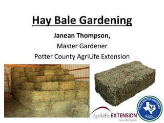 Hay Bale Gardening
Janean Thompson,
Master Gardener
Potter County AgriLife Extension
 