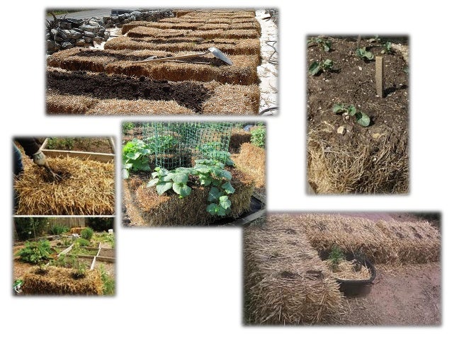hay bale gardening janean