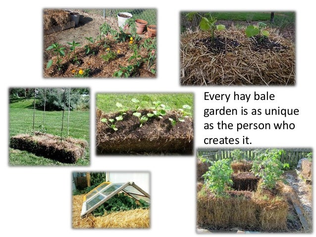 hay bale gardening janean