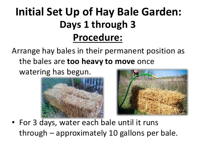 hay bale gardening janean