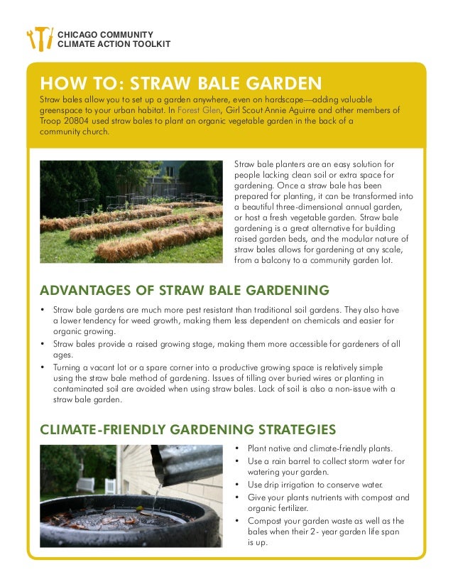 How To Straw Bale Garden Chicago