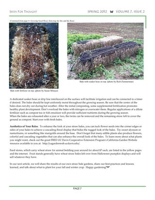 Straw Bale Gardening California Solano County