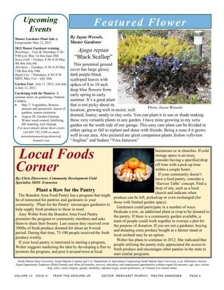 South Dakota State University, South Dakota Counties and U.S. Department of Agriculture Cooperating South Dakota State University is an Affirmative Action/
Equal Opportunity Employer (Male/Female) and offers all benefits, services, education, and employment opportunities without regard for ancestry, age, race, citizen
ship, color, creed, religion, gender, disability, national origin, sexual preference, or Vietnam Era veteran status.
By Jayne Wessels,
Master Gardener
Ajuga reptan
“Black Scallop”
This perennial ground
cover has large glossy
dark purple-black
scalloped leaves with
spikes of 8 to 10 inch
deep blue flowers from
early spring to early
summer. It’s a great plant
that is not picky about its
location; growing well in moist, well
drained, loamy, sandy or clay soils. You can plant it in sun or shade making
these very versatile plants in any garden. I have mine growing in my xeric
garden on the south side of our garage. This easy care plant can be divided in
either spring or fall to replant and share with friends. Being a zone 4 it grows
well in our area. Also pictured are great companion plants Sedum reflerium
“Anglina” and Sedum “Vera Jameson”
Featured Flower
VOLUME 1V ISSUE II FROM THE GROUND UP EDITOR: MARGARET MURPHY, MASTER GARDENER PAGE 4
Master Gardener Plant Sale at
Fairgrounds- May 12, 2012
2012 Master Gardener training
Brookings – Tues & Thursdays 5:30–
9:00 p.m. May 1st thru June 28th
Sioux Falls – Fridays, 8:30–4:30 May
4th thru July 6th
Aberdeen – Tuesdays, 8:30–4:30 May
15th thru July 10th
Rapid City – Thursdays, 8:30–4:30
MDT, May 31st – July 26th
Garden Tour -July 11, 2012; rain date
is July 12, 2012.
Gardening with the Masters: A
seminar series on gardening, Outdoor
Campus,
 May 7- Vegetables, flowers-
annuals and perennials- layout of
gardens, season extension.
 August 20- Garden Cleanup,
Winter weed control, fertilizing,
fall watering, tool cleanup
For more details about these events
call 605-782-3290 or email
minnehahamastergardeners@
hotmail.com
Upcoming
Events
Local Foods
Corner
By: Chris Zdorovtsov, Community Development Field
Specialist, SDSU Extension
Plant a Row for the Pantry
The Brandon Area Food Pantry has a program that might
be of interested for pantries and gardeners in your
community. ‘Plant for the Pantry’ encourages gardeners to
help supply fresh produce to those in need.
Amy Weber from the Brandon Area Food Pantry
promotes the program to community members and asks
them to share their bounty. Last season they received over
300lbs of fresh produce donated for about an 8-week
period. During that time, 75-100 people received the fresh
produce weekly.
If your local pantry is interested in starting a program,
Weber suggests marketing the idea by developing a flier to
promote the program, and post it around town at local
businesses or in churches. If cold
storage space is an issue,
consider having a specified drop
off time with a pick-up time
within a couple hours.
If your community doesn’t
have a food pantry, consider a
‘Harvest Table’ concept. Find a
drop of site, such as a local
church and indicate when
produce can be left, picked-up or even exchanged (for
those with limited garden space).
Gardeners could participate in a number of ways.
Dedicate a row, an additional plant or crop to be donated to
the pantry. If there is a community garden available, a
team of people could work together to oversee a plot for
the purpose of donation. If you are not a gardener, buying
and donating extra produce bought at a farmer stand or
local orchard may be an option.
Weber has plans to continue in 2012. She indicated that
people utilizing the pantry truly appreciated the access to
fresh produce and encourages other panties in the state to
start similar programs.
Photo: Jayne Wessels
 