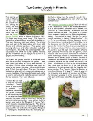 Page 7Master Gardener Volunteers—Summer 2013
Two Garden Jewels in Phoenix
By Sherry Speth
This spring we
visited Phoenix
on our way to
the Grand Can-
yon. During the
spring, we love
to stop in Phoe-
nix to soak up
some heat and
visit the Desert
Botanic Garden, which is located in Papago Park.
We have been there many times. The desert in
spring-time is beautiful and never fails to delight us.
This year, there was color everywhere. The prickly
pear cacti were in full bloom along with desert wild
flowers and pollinator gardens. This garden was
teaming with bees and other pollinators including
hummingbirds. Recently, the garden opened a fab-
ulous restaurant, which we found a perfect place to
get the travel kinks out and enjoy lunch outside in a
gorgeous outdoor setting.
Each year, the garden features at least one artist
with pieces located throughout the garden. We
have been there when a Chihuly was featured. A
marvelous Chihuly glass sculpture has been re-
tained at the garden entrance. It is amazing to see
what Chihuly does with glass. This year, the garden
featured an artist with very modernistic pieces and a
second installation of four gigantic heads each made
of botanic elements and made to represent each of
the four seasons. They were fabulous.
The next day we tried
to find the Japanese
Friendship Garden,
which is also located
in Phoenix. Judy
Salzwedel had visited
this garden previous-
ly and recommended
it. As you may have
guessed, we never miss an opportunity to see an
authentic Japanese garden. Judy told us that the
garden was part of the Margaret T. Hance Park,
which straddles Interstate Highway 10. After driving
around the area a number of times and not finding it,
we parked the car and walked through the Margaret
T. Hance park. We finally found the friendship gar-
den tucked away from the cares of everyday life –
obviously on the opposite end from where we had
parked the car.
The Phoenix Friendship Garden is built on the top
of the I-10 freeway tunnel in the middle of Phoenix.
It is a ―stroll garden‖ complete with a stream, Koi
pond and a 12-foot waterfall. A teahouse and tea
garden complete the walk. The garden is a collabo-
ration between Phoenix and its sister city of Himeji ,
Japan. The garden is called ―Ro Ho En‖, which
roughly translates to ―Heron, Phoenix Garden ‖. Ro
Ho En is a combination of three Japanese words.
Ro means Heron, a bird symbol of Himeji City. Ho is
the Japanese word for the Phoenix bird. En means
garden. Ro Ho En, therefore, is a name symbolizing
the friendship between the two cities represented in
this garden. Over 60 trips were made by artisans
from Japan to Phoenix to build the garden, which
includes 1500 hand- picked rocks and 50 varieties of
plants including a number of kinds of bamboo. The
entrance fee is $5.00, which is worth it because it
comes with a colored map labeling trees and ground
covers on one side and the bushes and bamboo the
other. It is interesting to look at the kinds of plants
they chose that can stand up to the heat and dry
conditions of Arizona and yet fulfill the idea of a Jap-
anese garden. The Phoenix Friendship Garden is
open from October 1 to May 31st,
when it gets too
hot for even a stroll garden. If you ever get to Phoe-
nix make sure you stop in at this oasis in the desert.
Hint: park on the east side of the Margaret T. Hance
park.
 