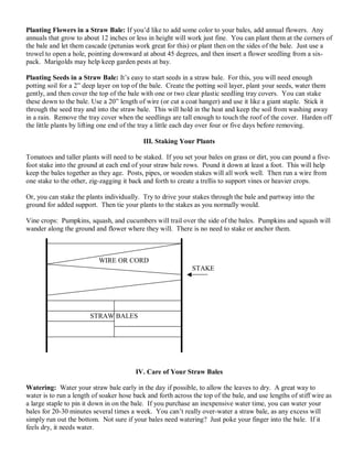 Planting Flowers in a Straw Bale: If you’d like to add some color to your bales, add annual flowers. Any
annuals that grow to about 12 inches or less in height will work just fine. You can plant them at the corners of
the bale and let them cascade (petunias work great for this) or plant then on the sides of the bale. Just use a
trowel to open a hole, pointing downward at about 45 degrees, and then insert a flower seedling from a six-
pack. Marigolds may help keep garden pests at bay.
Planting Seeds in a Straw Bale: It’s easy to start seeds in a straw bale. For this, you will need enough
potting soil for a 2” deep layer on top of the bale. Create the potting soil layer, plant your seeds, water them
gently, and then cover the top of the bale with one or two clear plastic seedling tray covers. You can stake
these down to the bale. Use a 20” length of wire (or cut a coat hanger) and use it like a giant staple. Stick it
through the seed tray and into the straw bale. This will hold in the heat and keep the soil from washing away
in a rain. Remove the tray cover when the seedlings are tall enough to touch the roof of the cover. Harden off
the little plants by lifting one end of the tray a little each day over four or five days before removing.
III. Staking Your Plants
Tomatoes and taller plants will need to be staked. If you set your bales on grass or dirt, you can pound a five-
foot stake into the ground at each end of your straw bale rows. Pound it down at least a foot. This will help
keep the bales together as they age. Posts, pipes, or wooden stakes will all work well. Then run a wire from
one stake to the other, zig-zagging it back and forth to create a trellis to support vines or heavier crops.
Or, you can stake the plants individually. Try to drive your stakes through the bale and partway into the
ground for added support. Then tie your plants to the stakes as you normally would.
Vine crops: Pumpkins, squash, and cucumbers will trail over the side of the bales. Pumpkins and squash will
wander along the ground and flower where they will. There is no need to stake or anchor them.
WIRE OR CORD
STAKE
STRAW BALES
IV. Care of Your Straw Bales
Watering: Water your straw bale early in the day if possible, to allow the leaves to dry. A great way to
water is to run a length of soaker hose back and forth across the top of the bale, and use lengths of stiff wire as
a large staple to pin it down in on the bale. If you purchase an inexpensive water time, you can water your
bales for 20-30 minutes several times a week. You can’t really over-water a straw bale, as any excess will
simply run out the bottom. Not sure if your bales need watering? Just poke your finger into the bale. If it
feels dry, it needs water.
 