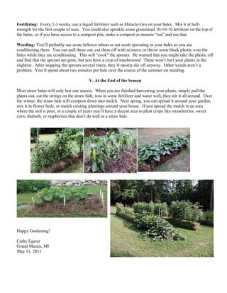 Fertilizing: Every 2-3 weeks, use a liquid fertilizer such as Miracle-Gro on your bales. Mix it at half-
strength for the first couple of uses. You could also sprinkle some granulated 10-10-10 fertilizer on the top of
the bales, or if you have access to a compost pile, make a compost or manure “tea” and use that.
Weeding: You’ll probably see some leftover wheat or oat seeds sprouting in your bales as you are
conditioning them. You can pull these out, cut them off with scissors, or throw some black plastic over the
bales while they are conditioning. This will “cook” the sprouts. Be warned that you might take the plastic off
and find that the sprouts are gone, but you have a crop of mushrooms! These won’t hurt your plants in the
slightest. After snipping the sprouts several times, they’ll mostly die off anyway. Other weeds aren’t a
problem. You’ll spend about two minutes per bale over the course of the summer on weeding.
V. At the End of the Season
Most straw bales will only last one season. When you are finished harvesting your plants, simply pull the
plants out, cut the strings on the straw bale, toss in some fertilizer and water well, then stir it all around. Over
the winter, the straw bale will compost down into mulch. Next spring, you can spread it around your garden,
mix it in flower beds, or mulch existing plantings around your house. If you spread the mulch in an area
where the soil is poor, in a couple of years you’ll have a decent area to plant crops like strawberries, sweet
corn, rhubarb, or raspberries that don’t do well in a straw bale.
Happy Gardening!
Cathy Egerer
Grand Marais, MI
May 11, 2011
 