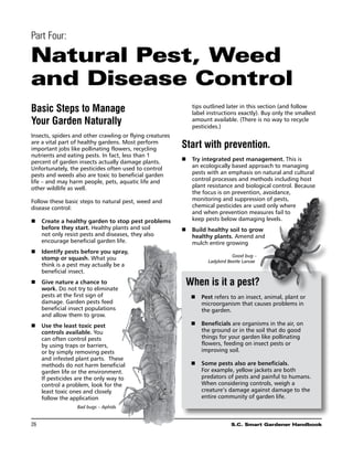 Part Four:

Natural Pest, Weed
and Disease Control
Basic Steps to Manage                                        tips outlined later in this section (and follow
                                                             label instructions exactly). Buy only the smallest
Your Garden Naturally                                        amount available. (There is no way to recycle
                                                             pesticides.)
Insects, spiders and other crawling or flying creatures
are a vital part of healthy gardens. Most perform
important jobs like pollinating flowers, recycling        Start with prevention.
nutrients and eating pests. In fact, less than 1
percent of garden insects actually damage plants.         n	 Try integrated pest management. This is
Unfortunately, the pesticides often used to control          an ecologically based approach to managing
pests and weeds also are toxic to beneficial garden          pests with an emphasis on natural and cultural
life – and may harm people, pets, aquatic life and           control processes and methods including host
other wildlife as well.                                      plant resistance and biological control. Because
                                                             the focus is on prevention, avoidance,
Follow these basic steps to natural pest, weed and           monitoring and suppression of pests,
disease control:                                             chemical pesticides are used only where
                                                             and when prevention measures fail to
n	 Create a healthy garden to stop pest problems             keep pests below damaging levels.
   before they start. Healthy plants and soil             n	 Build healthy soil to grow
   not only resist pests and diseases, they also             healthy plants. Amend and
   encourage beneficial garden life.                         mulch entire growing
n	Identify pests before you spray,
                                                                               Good bug –
   stomp or squash. What you                                        Ladybird Beetle Larvae
   think is a pest may actually be a
   beneficial insect.
n	 Give nature a chance to                                 When is it a pest?
   work. Do not try to eliminate
   pests at the first sign of                                n	  est refers to an insect, animal, plant or
                                                                P
   damage. Garden pests feed                                    microorganism that causes problems in
   beneficial insect populations                                the garden.
   and allow them to grow.
n	 Use the least toxic pest                                  n	 Beneficials are organisms in the air, on
   controls available. You                                      the ground or in the soil that do good
   can often control pests                                      things for your garden like pollinating
   by using traps or barriers,                                  flowers, feeding on insect pests or
   or by simply removing pests                                  improving soil.
   and infested plant parts. These
   methods do not harm beneficial                            n	  ome pests also are beneficials.
                                                                S
   garden life or the environment.                              For example, yellow jackets are both
   If pesticides are the only way to                            predators of pests and painful to humans.
   control a problem, look for the                              When considering controls, weigh a
   least toxic ones and closely                                 creature’s damage against damage to the
   follow the application                                       entire community of garden life.
                  Bad bugs – Aphids


26	                                                                           S.C. Smart Gardener Handbook
 