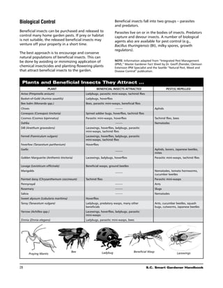 Biological Control                                                Beneficial insects fall into two groups – parasites
                                                                  and predators.
Beneficial insects can be purchased and released to               Parasites live on or in the bodies of insects. Predators
control many home garden pests. If prey or habitat                capture and devour insects. A number of biological
is not suitable, the released beneficial insects may              agents also are available for pest control (e.g.,
venture off your property in a short time.                        Bacillus thuringiensis (Bt), milky spores, growth
                                                                  regulators).
The best approach is to encourage and conserve
natural populations of beneficial insects. This can
be done by avoiding or minimizing application of                  NOTE: Information adapted from “Integrated Pest Management
                                                                  (IPM),” Master Gardener Fact Sheet by Dr. Geoff Zhender, Clemson
chemical insecticides and planting flowering plants               Extension IPM Specialist and the Seattle “Natural Pest, Weed and
that attract beneficial insects to the garden.                    Disease Control” publication.



 Plants and Beneficial Insects They Attract ...
                      Plant                         Beneficial Insects Attracted                            Pest(s) Repelled
Anise (Pimpinella anisum)                  Ladybugs, parasitic mini-wasps, tachinid flies
Basket-of-Gold (Aurinia saxatilis)         Ladybugs, hoverflies
Bee balm (Monarda spp.)                    Bees, parasitic mini-wasps, beneficial flies
Chives                                                            –––––                            Aphids
Coreopsis (Coreopsis tinctoria)            Spined soldier bugs, hoverflies, tachinid flies
Cosmos (Cosmos bipinnatus)                 Parasitic mini-wasps, hoverflies                        Tachinid flies, bees
Dahlia                                                            –––––                            Nematodes
Dill (Anethum graveolens)                  Lacewings, hoverflies, ladybugs, parasitic
                                           mini-wasps, tachinid flies
Fennel (Foeniculum vulgare)                Lacewings, hoverflies, ladybugs, parasitic
                                           mini-wasps, tachinid flies
Feverfew (Tanacetum parthenium)            Hoverflies
Garlic                                                                                             Aphids, borers, Japanese beetles,
                                                                  –––––
                                                                                                   mites
Golden Marguerite (Anthemis tinctoria)     Lacewings, ladybugs, hoverflies                         Parasitic mini-wasps, tachinid flies

Lovage (Levisticum officinale)             Beneficial wasps, ground beetles
Marigolds                                                                                          Nematodes, tomato hornworms,
                                                                  –––––
                                                                                                   cucumber beetles
Painted daisy (Chrysanthemum coccineum)    Tachinid flies                                          Parasitic mini-wasps
Pennyroyal                                                        –––––                            Ants
Rosemary                                                          –––––                            Slugs
Salvia                                                            –––––                            Nematodes
Sweet alyssum (Lobularia maritima)         Hoverflies
Tansy (Tanacetum vulgare)                  Ladybugs, predatory wasps, many other                   Ants, cucumber beetles, squash
                                           beneficials                                             bugs, cutworms, Japanese beetles
Yarrow (Achillea spp.)                     Lacewings, hoverflies, ladybugs, parasitic
                                           mini-wasps
Zinnia (Zinnia elegans)                    Ladybugs, parasitic mini-wasps, bees




                                     Bee                Ladybug                  Beneficial Wasp
         Praying Mantis                                                                                              Lacewings



28	                                                                                          S.C. Smart Gardener Handbook
 