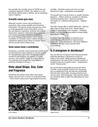 For example, the scientific name of ‘QVTIA’ live oak            camellia – Stewartia ovata) and macro or large
is Quercus virginiana ‘QVTIA.’ Yes, believe it or not,          (Dutchman’s pipe – Aristolochia macrophylla).
the official cultivar name is ‘QVTIA,’ but its marketing
name is Highrise.                                               The growth form may be erectus or upright (stinking
                                                                Benjamin – Trillium erectum), scandens or climbing
Scientific names give clues.                                    (climbing bleeding heart – Dicentra scandens)
                                                                and repens or creeping (trailing arbutus – Epigaea
Although scientific names may be difficult to                   repens).
pronounce, they convey valuable and interesting
information. The species names may give you a clue              The color may be alba or white (white oak – Quercus
as to the geographic origin of the plant, such as               alba) nigra or black (river birch – Betula nigra),
live oak (Quercus virginiana), American elm (Ulmus              roseus or rose-colored (rose coreopsis – Coreopsis
Americana), Japanese andromeda (Pieris japonica),               rosea), fulvus or orange-gray-yellow (orange daylily –
and Carolina buckthorn (Rhamnus caroliniana).                   Hemerocallis fulva).
Be careful because these species names can be
unreliable. For example, eastern redbud (Cercis                 A species may offer clues as to fragrance (e.g.,
canadensis) appears to be native to Canada, but it              winter honeysuckle – Lonicera fragrantissima,
                                                                sweet pea – Lathyrus odoratus, bearsfoot hellebore –
will not survive north of New Jersey.
                                                                Helleborus foetidus, which sounds rather
                                                                foul-smelling).
Some names honor a contribution.
Sometimes a scientific name honors the contributions            Is it evergreen or deciduous?
of early botanists, plant explorers or famous people.
For example black-eyed Susan (Rudbeckia hirta) is               You can tell from its species name that possumhaw
named for Olaf Rudbeck, the mentor of Carolus                   holly (Ilex deciduas) is deciduous or loses its
Linnaeus, the Swedish “father of modern botany.”                leaves in the winter. Yellow jesamine (Gelsemium
The magnolia was named after Pierre Magnol, a                   sempervirens), the state flower of South Carolina, is
professor of botany in France.                                  evergreen because its species name – sempervirens –
                                                                means “always green.”

Hints about Shape, Size, Color                                  Do not fret about being able to pronounce these
                                                                scientific names properly. Chances are, the person
and Fragrance                                                   you are speaking to may not feel very comfortable
                                                                with the Latin name either. As long as both of you
Sometimes the species name offers hints about                   use the same “plant language” with scientific names,
shapes and sizes such as minor or small (periwinkle             you should be able to select the right plants for your
– Vinca minor), ovata-oval or egg-shaped (mountain              landscape.




                                            Stock Photography                                              Stock Photography
Zinnia elegans                                                  Tagetes patula



S.C. Smart Gardener Handbook	                                                                                            35
 