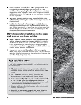 n	 Remove problem weeds by hand in the spring and fall. Don’t
   cover your entire lawn with weed and feed just to kill a few
   dandelions. Pincer-type, long-handled weed pullers are available at
   many garden stores. They work well in moist soil with no stooping.
   Pull dandelions when they’re young. For best results, get as much of
   the root as possible.
n	 Spot-spray problem weeds with the proper herbicide at the
   right time of year. Identify the weed to make sure you are using the
   correct product.
n	 Read the label carefully before using any pesticide. Be sure
   to follow all label warnings, wear proper protective clothing and
   keep children and pets off the lawn for at least as long as the label
   specifies. Only buy as much as you need and completely use the
   contents before disposing of the container.

STEP 6: Consider alternatives to lawns for steep slopes,
shady areas and near streams and lakes.
n	 Leave a buffer of natural vegetation along streams and lakes
   to filter pollutants and protect fish and wildlife. These buffers
   should include shrubs and trees to shade the stream and ground
   covers of native plants or low-maintenance grasses that are left
   unmowed and wild. Avoid using pesticides or soluble fertilizers near
   streams, ditches, wetlands and shorelines.
n	 Grass grows best on well-drained soil in full sun or partial
   shade. Steep slopes are hard to mow and water. Call your Clemson
   Extension office for information on alternative plants or grasses that
   do well in shady, steep or wet sites.



  Poor Soil: What to do?
  If your soil is very poor and compacted, it may be best to improve
  the soil and replant.

   	 Till up old lawn. If it is very weedy, remove the sod with a
  n
      rented sod stripper or spray glyphosate (Roundup) on it to kill
      weeds.
  n	 Get a soil test to find what’s missing and spread the
     amendments (e.g., lime) suggested in the test results.
  n	 Spread 2 inches of quality compost and till it in to a depth
     of 6 to 8 inches. Sandy or gravelly soils may need other
     amendments, too. Consult a certified landscaper or your local
     Clemson Extension office for help with these soils.
  n	 Rake the soil level, roll with a landscape roller, water to settle
     for a day and rake again.
   	 Seed with an appropriate grass mix and water daily if the
  n
      weather is hot and dry until the lawn is well established.
                                                                                              Stock Photography




44	                                                                         S.C. Smart Gardener Handbook
 