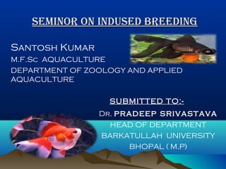SEMINOR ON INDUSED BREEDINGSEMINOR ON INDUSED BREEDING
Santosh Kumar
M.F.Sc AQUACULTURE
DEPARTMENT OF ZOOLOGY AND APPLIED
AQUACULTURE
SUBMITTED TO:-
Dr. pradeep srivastava
HEAD OF DEPARTMENT
BARKATULLAH UNIVERSITY
BHOPAL ( M.P)
 