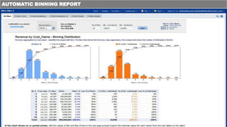 AUTOMATIC BINNING REPORT
 