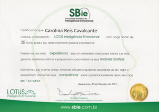 Certificado do curso de Inteligência Emocional (Sbie)