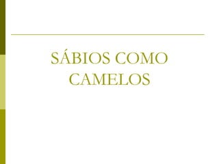 SÁBIOS COMO
CAMELOS
 