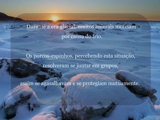 Durante a era glacial, muitos animais morriam
por causa do frio.

Os porcos-espinhos, percebendo esta situação,
resolveram se juntar em grupos,
assim se agasalhavam e se protegiam mutuamente.

 