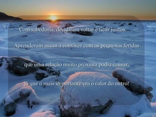 Com sabedoria, decidiram voltar e ficar juntos.
Aprenderam assim a conviver com as pequenas feridas
que uma relação muito próxima podia causar,
já que o mais importante era o calor do outro!

 