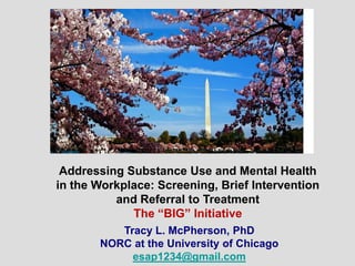 Addressing Substance Use and Mental Health
in the Workplace: Screening, Brief Intervention
          and Referral to Treatment
             The “BIG” Initiative
          Tracy L. McPherson, PhD
       NORC at the University of Chicago
            esap1234@gmail.com
 