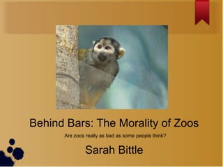 Are zoos really as bad as some people think?
Behind Bars: The Morality of Zoos
Sarah Bittle
 