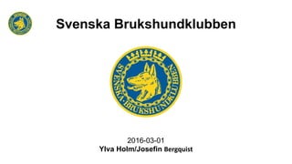 Svenska Brukshundklubben
2016-03-01
Ylva Holm/Josefin Bergquist
 