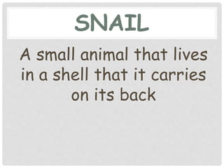 SNAIL
A small animal that lives
in a shell that it carries
on its back