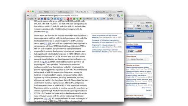 essay introduction anecdote