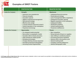 © 2017Cengage Learning. All Rights Reserved. May not be copied, scanned, or duplicated, in whole or in part, except for use as permitted in a license distributed with a certain product or service or otherwise on
a password-protected website for classroom use.
Examples of SWOT Factors
3.5
 