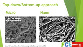 Top-down/Bottom-up approach
NanoMicro
Nanocellulose
Bacterial Nanocellulose: From Biotechnology to Bio-Economy, Elsevier, 2016
 