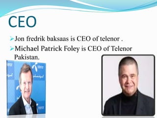 Michael P. Foley Telenor franchising process | PPTX