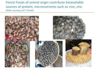 Forest Foods of animal origin contribute bioavailable
sources of protein, micronutrients such as iron, zinc
(Slide courtesy of F. Smith)
 