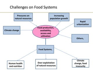 Food production,
availability,
access and
utilization
Pressures on
natural resources
Climate change
Others,
Rapid
urbanization
Increasing
population growth
Food Systems,
Human health
and nutrition
Climate
change, food
insecurity
Over-exploitation
of natural resources
Challenges on Food Systems
 