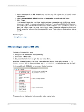 SAP BODS Designer PDF